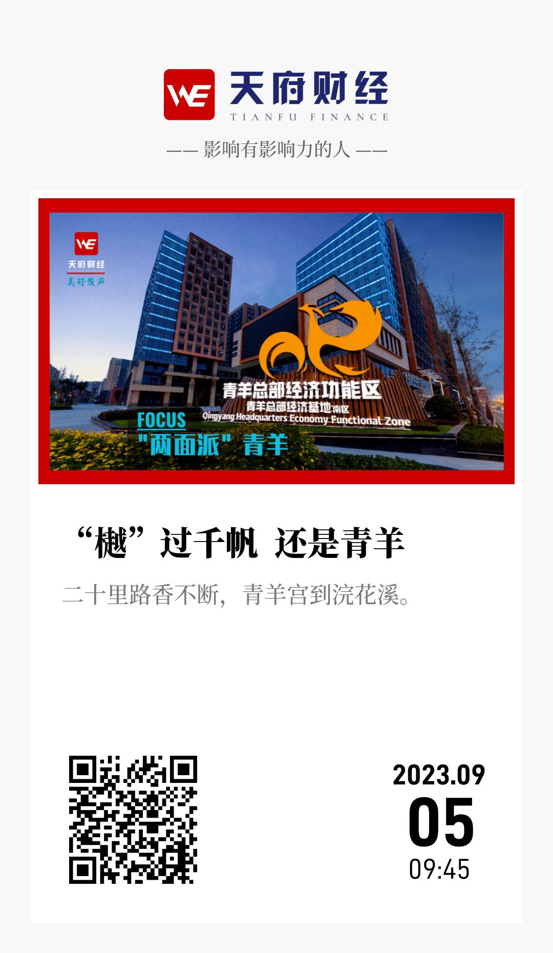 “樾”过千帆 还是青羊 - 海报