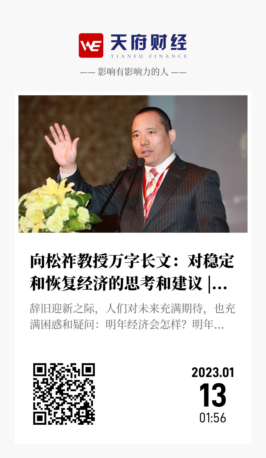向松祚教授万字长文:对稳定和恢复经济的思考和建议 | 授权发布 - 海报