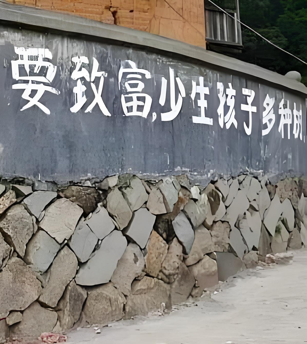 应对人口下滑压力 我国或拟推行全国生育补贴