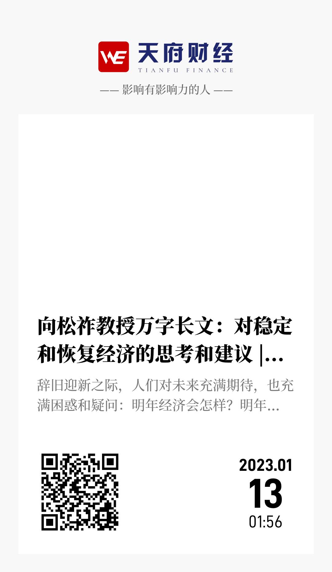 向松祚教授万字长文：对稳定和恢复经济的思考和建议 | 授权发布 - 海报