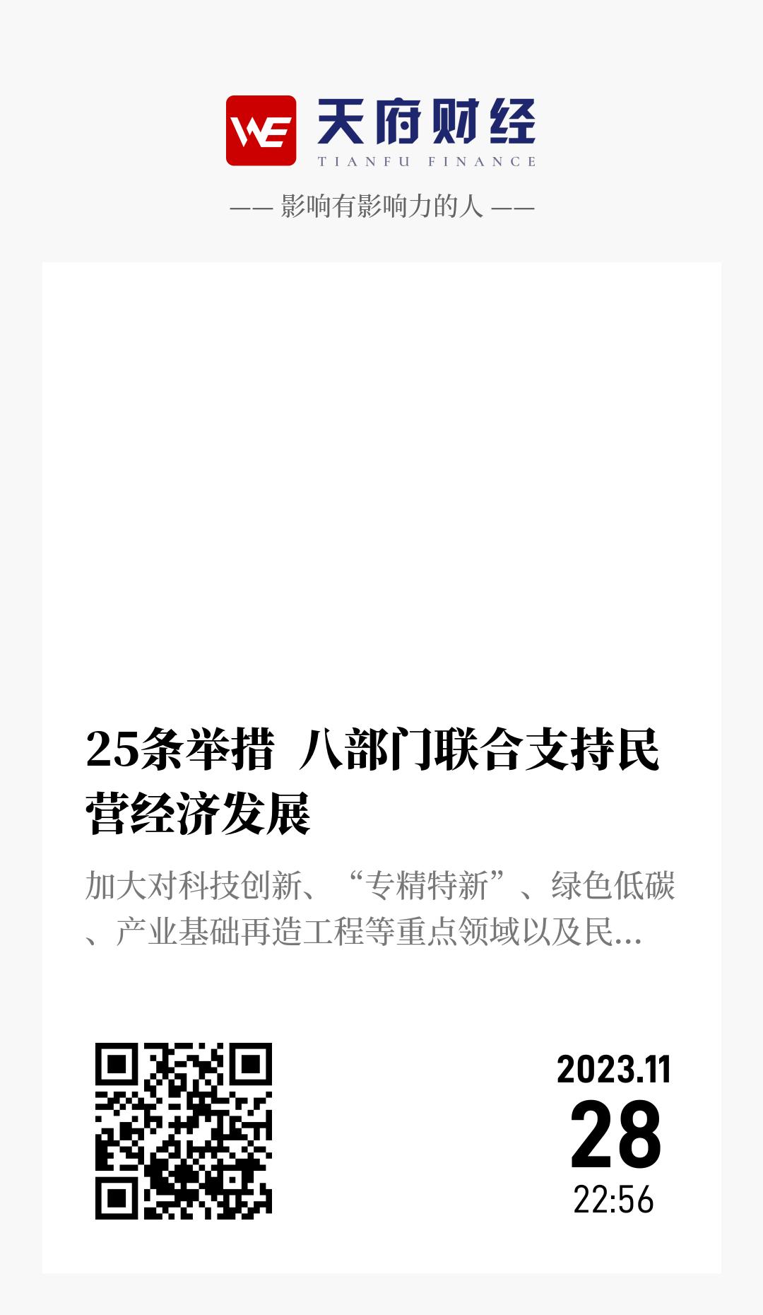 25条举措  八部门联合支持民营经济发展 - 海报