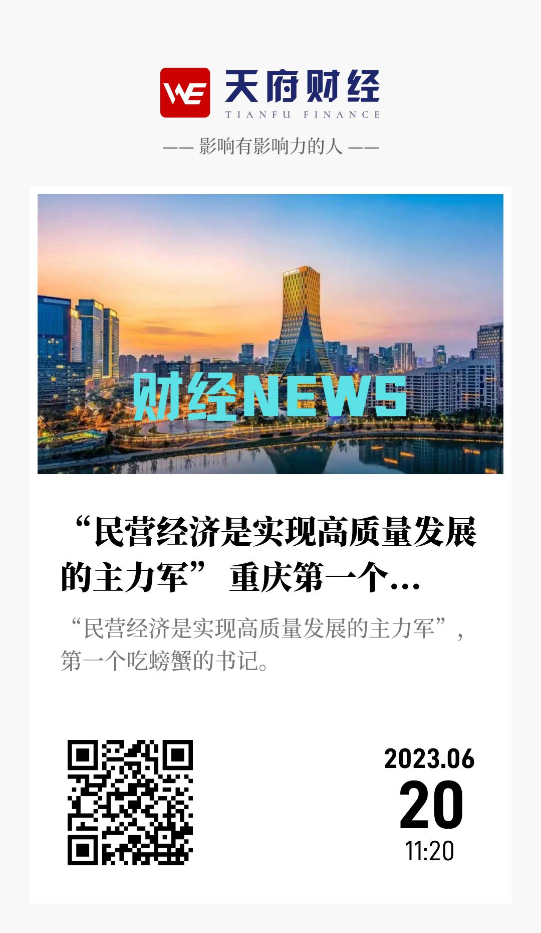 “民营经济是实现高质量发展的主力军” 重庆第一个吃螃蟹 - 海报